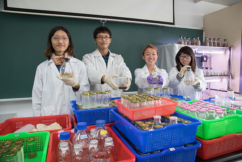 植物遺傳工程實驗室的同學們合力研發與執行育苗技術
