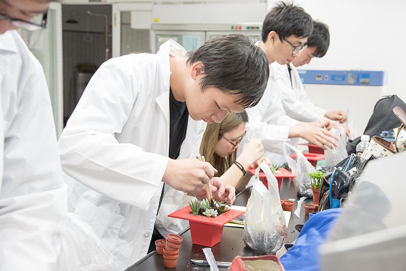 生科系同學實地操作多肉植物栽種
