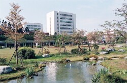 Ecological Pond