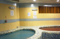Hot Spring in the Hydrotherapy Center