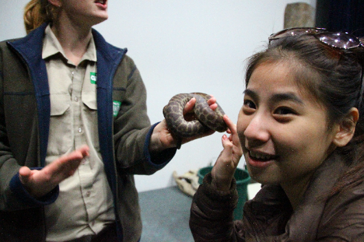 A visit to the Currumbin Wildlife Sanctuary was a test of nerve for some, but no problem for Mia Chan (Applied Foreign Languages).