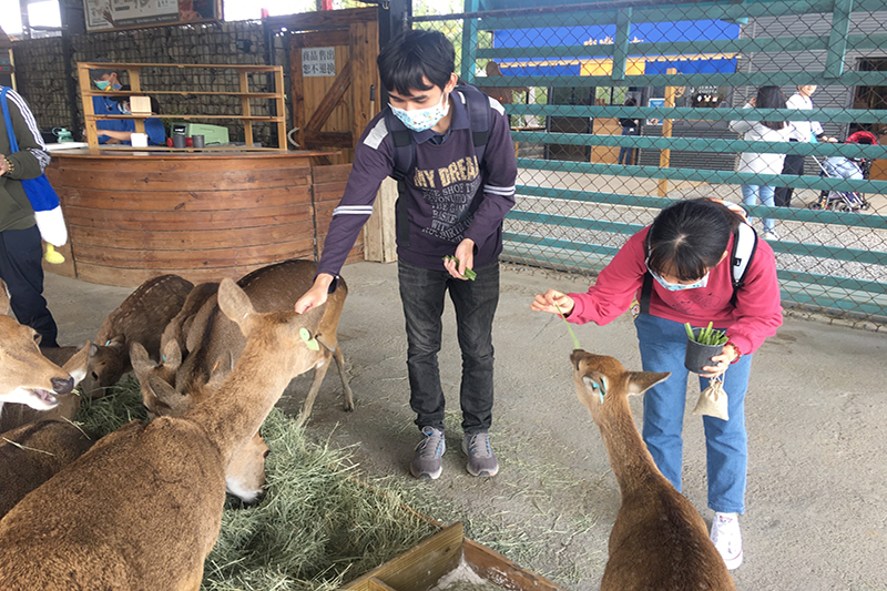 鹿境梅花鹿生態園區讓嘉藥外籍生有完全不同的體驗