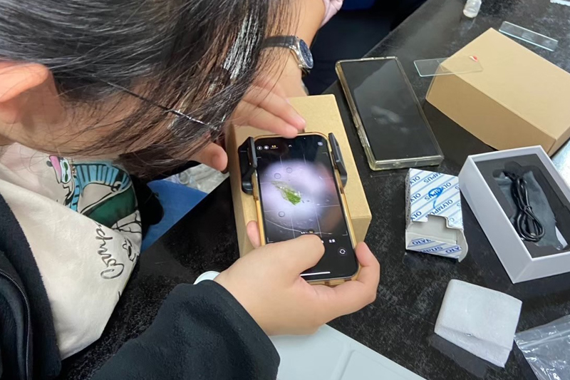 嘉藥藥學系學生用手機顯微鏡細心觀察植物組織構造