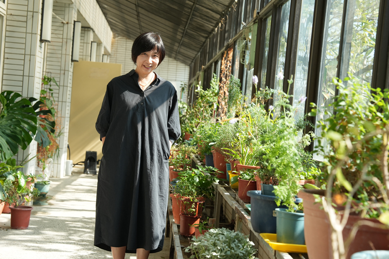 嘉藥高毓瑩老師打造的藥用植物教室包括瓶爾小草、莪朮及貓鬚草等60幾種藥用植物