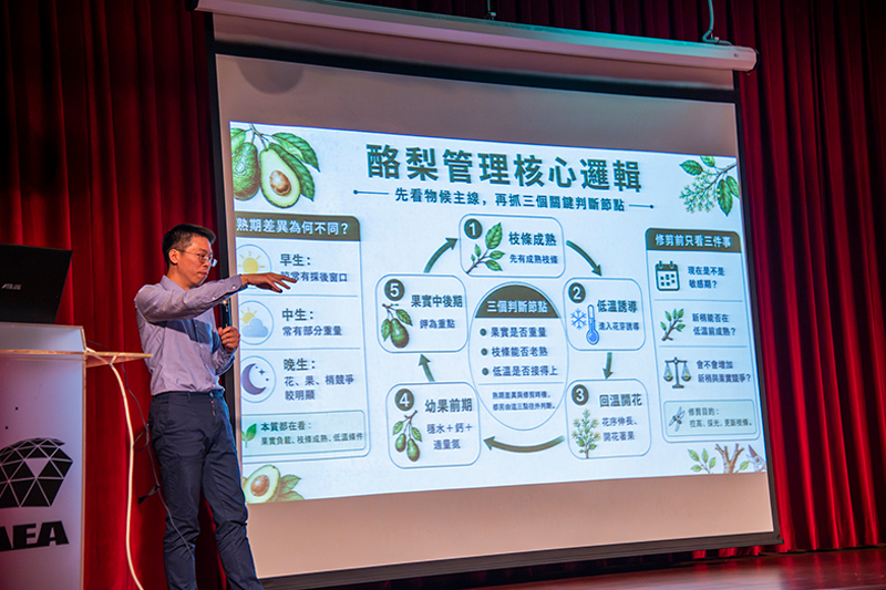 深入了解大內酪梨的核心特色幫助酪梨產業永續發展