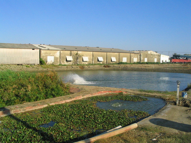 關鍵技術研發-循環水養殖系統