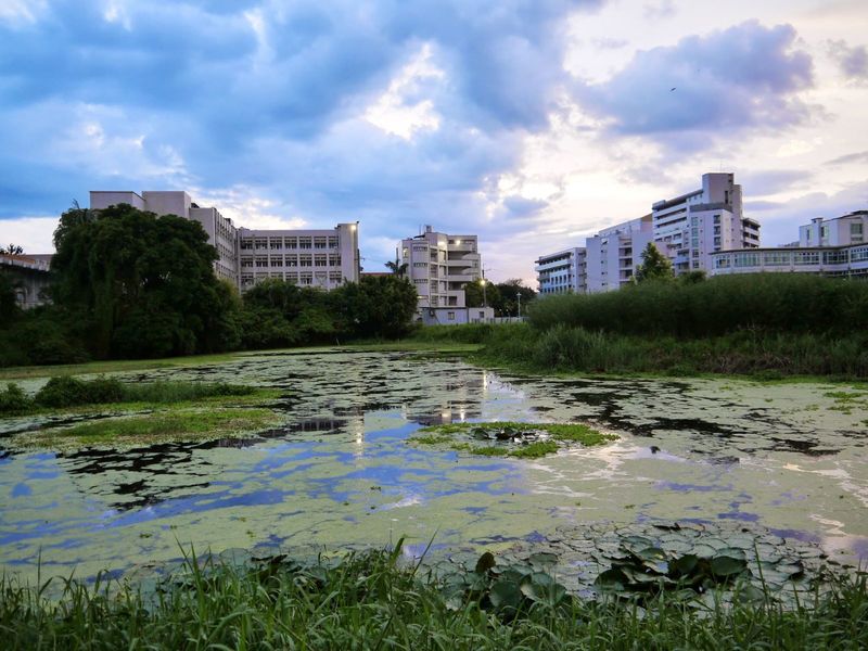 嘉藥人工溼地實景(1)