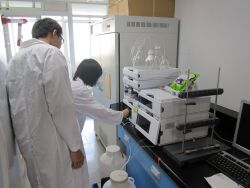 High performance liquid chromatography (HPLC)