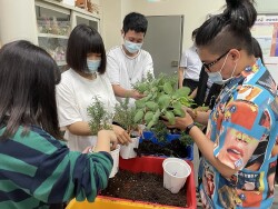 Herb Cultivation and Application- Course of Department of Applied Life Sciences