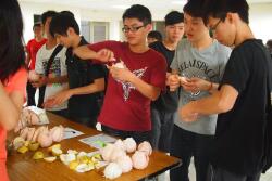 Family activity day in the Department of Environmental Engineering - peeling pomelos