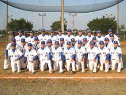 Cultivating professional baseball players (CNU baseball team)